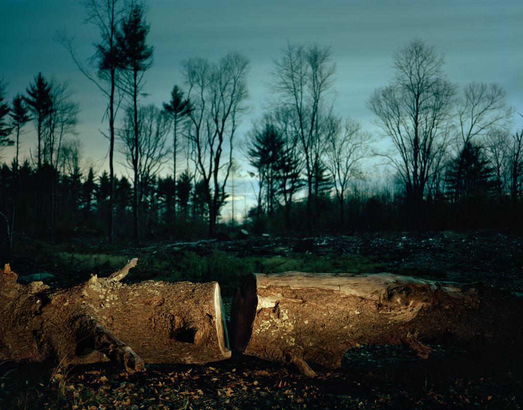 Forest Kelley, Untitled, 2014
