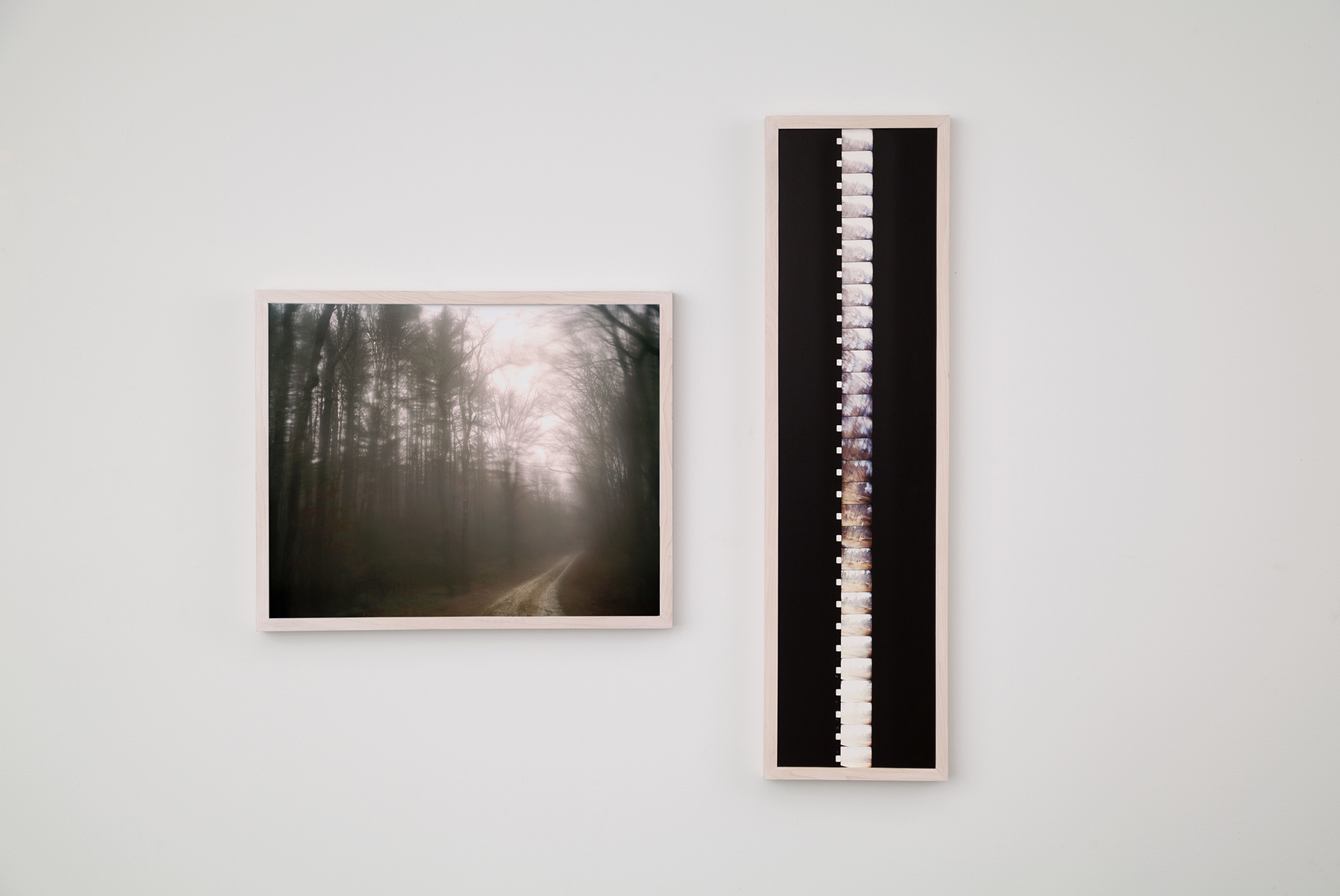 Forest Kelley, Michael