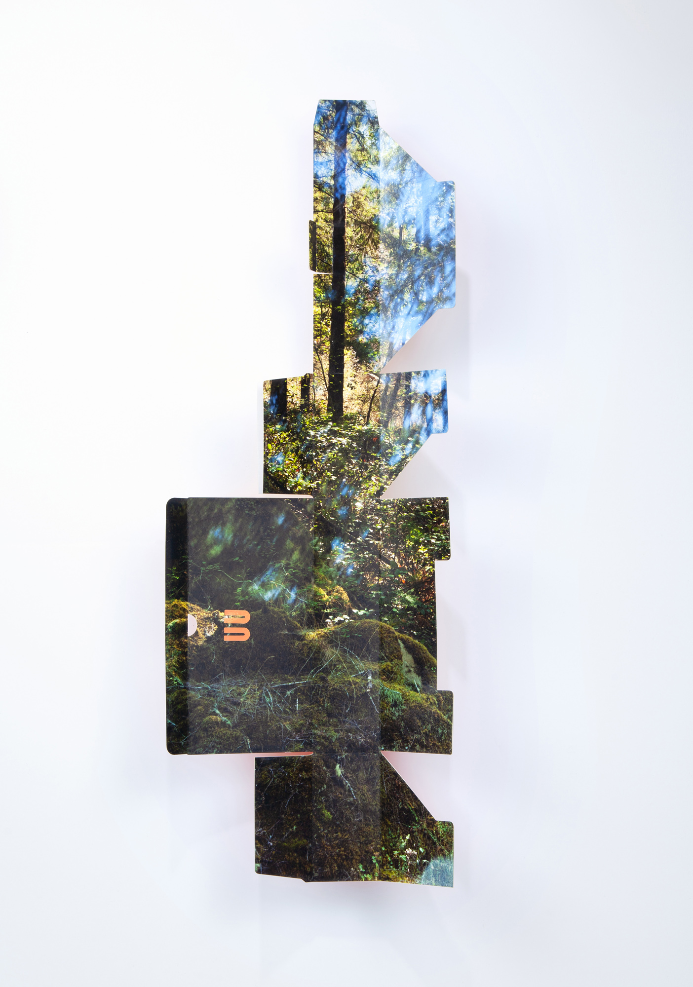 Forest Kelley, Virtual Worker Diaries