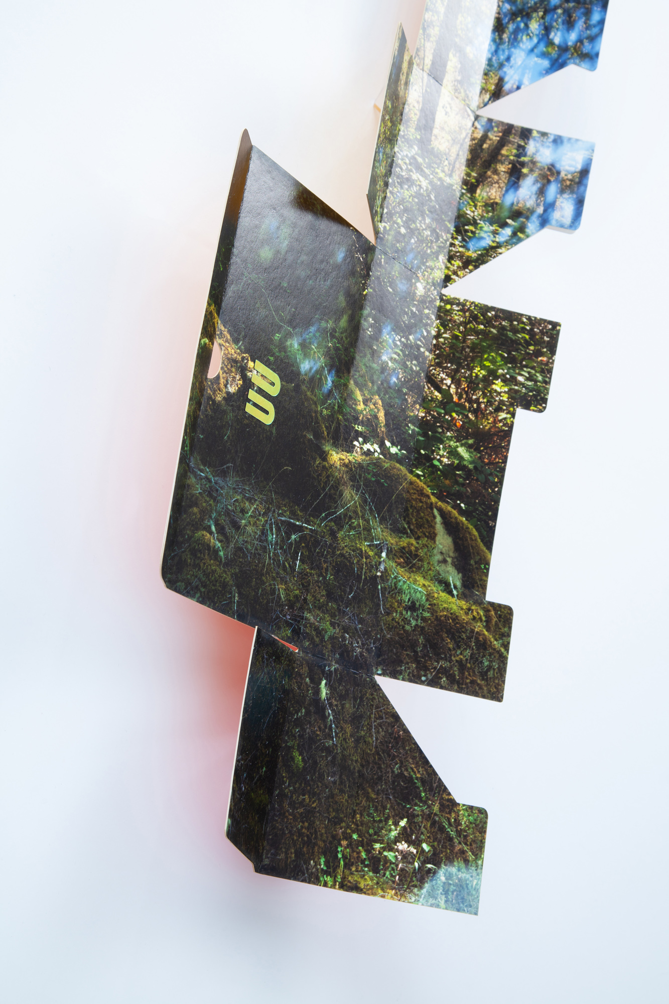 Forest Kelley, Virtual Worker Diaries